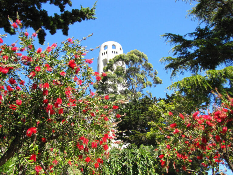 Coit Tower in San Francisco - Selbstliebe-Traumreise